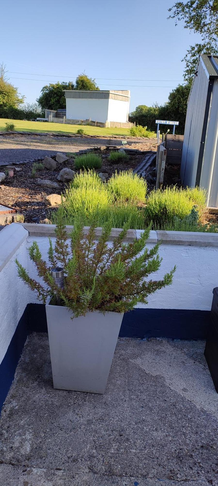Apartamento The Bothy Belmont  Exterior foto
